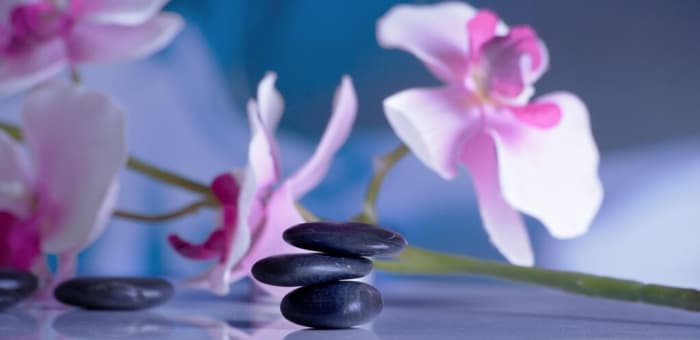 Smooth stones and orchids balanced in a calm arrangement
