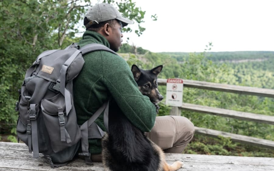 A man sitting on a bench with his dog at a scenic overlook